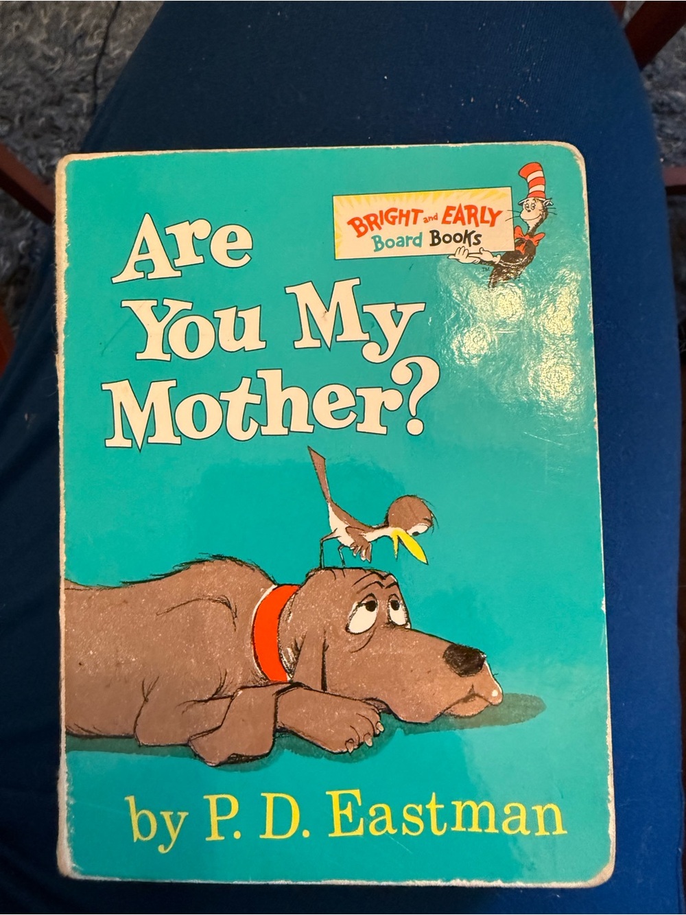Classic Board Book Are You my Mother Book
